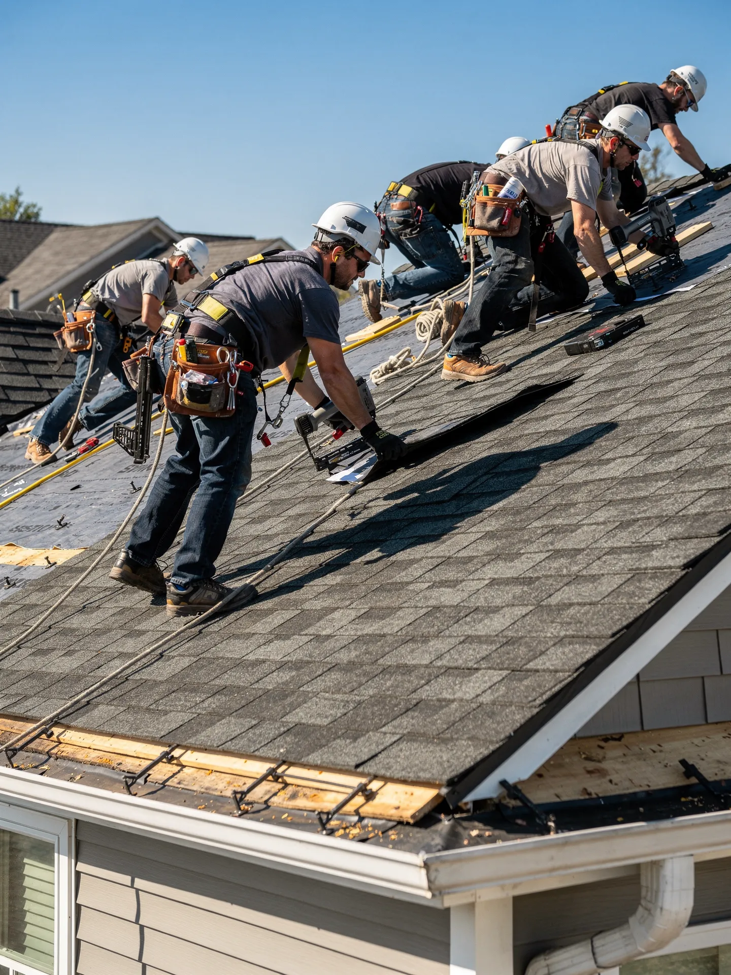 Apex roofing crew installing shingles